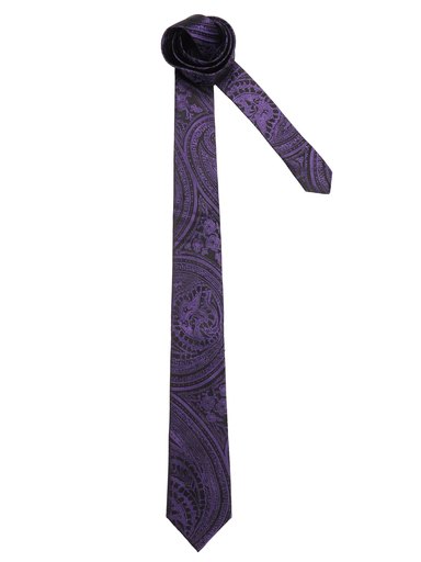 Turtle Men Solid Purple Ties